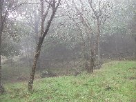 fugio Saletti-20101010 089